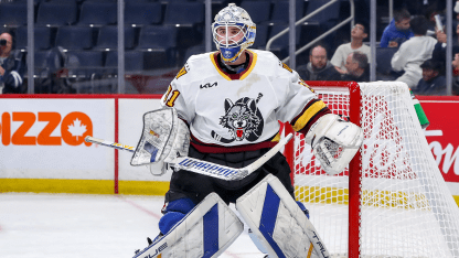 Hurricanes Sign Goaltender Dustin Tokarski