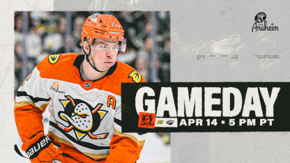 PREVIEW: Playoff-Bound Ducks Look to Make Ground on Division Title Tonight