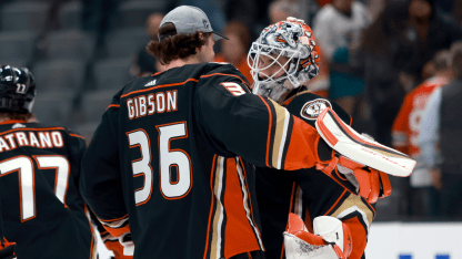 Ducks Season Preview: Between the Pipes