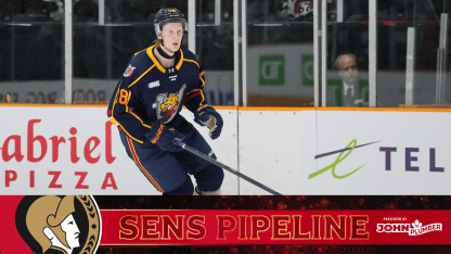 Eliasson - Sens Pipeline ENG