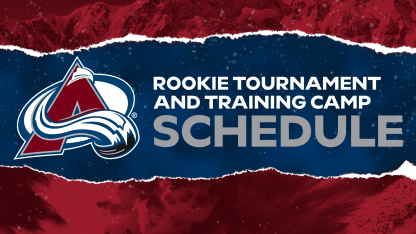 Rookie Tournament / Training Camp Schedule