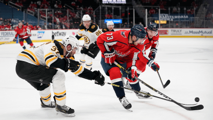 shavings bruins