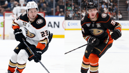 Ducks Announce Injury Updates on Four Players