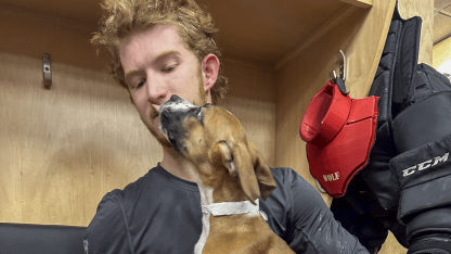 Photo Gallery - Dog Day At The 'Dome