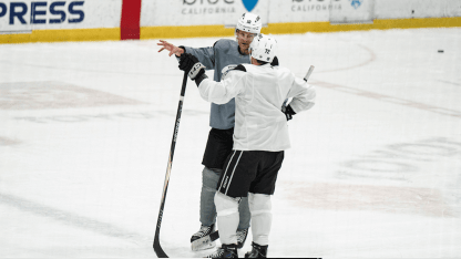 PanarinPerryPracticeWeb