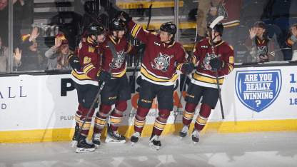 Chicago Wolves Clinch Playoff Berth