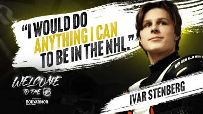 Welcome to the NHL: Ivar Stenberg