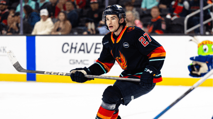 recap-firebirds-game-in-abbotsford-ft