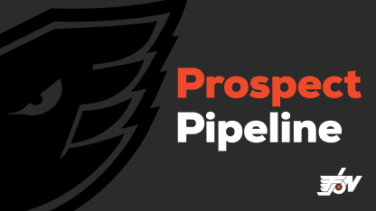 Prospect Pipeline_2568x144