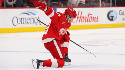 Ottawa Senators Detroit Red Wings game recap January 7