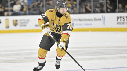 Daily fantasy hockey picks projections props 2024-25 NHL season