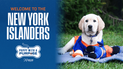 NYI Puppy - Butchie