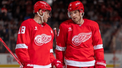 Detroit Red Wings three questions for 2025-26 season 32 in 32