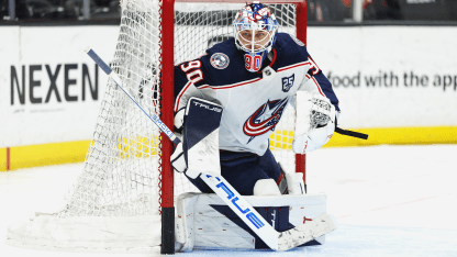 Merzlikins_CBJ_in-net