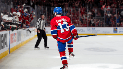 Minnesota Wild Montreal Canadiens game recap January 20 2026