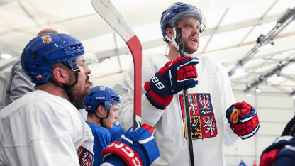Pastrnak_Hertl_2026CZE_practice