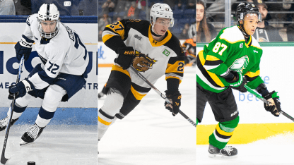Color of Hockey: 2026 NHL Draft preview