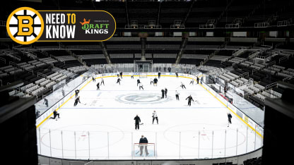 Kings, owner looking for reset with new arena