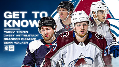 Colorado Avalanche ask fans to fight for Altitude Sports Network