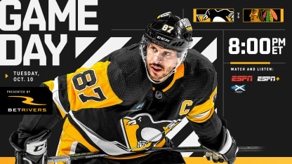 Pittsburgh Penguins NHL Team Magnet