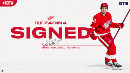 Zadina jersey best sale