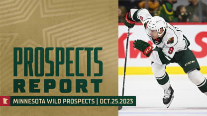 My Collection 2023 Edition: Minnesota Wild 