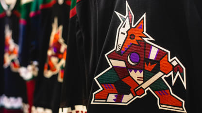 Arizona Coyotes bring back Kachina jerseys - Phoenix Business Journal