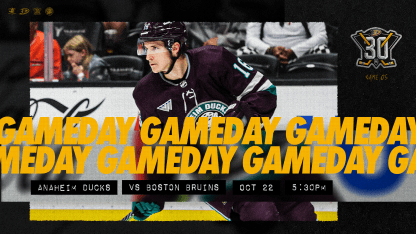 Preview: Plum Jerseys Return as Ducks Battle Bruins at Honda