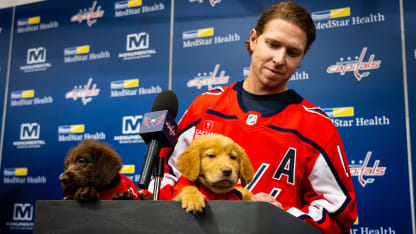 Washington Capitals Canine Calendar 2025