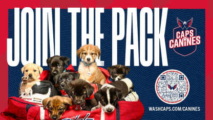Washington Capitals host Caps Canines puppy playoffs