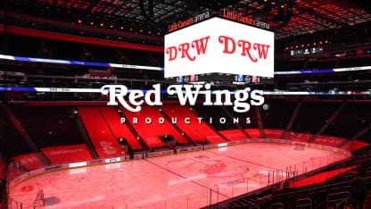 Red Wings observations: Alex DeBrincat scores, but Detroit falls in season  opener - The Athletic