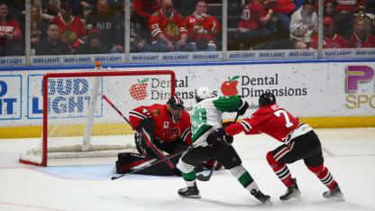 What to expect from the Rockford IceHogs in the Calder Cup