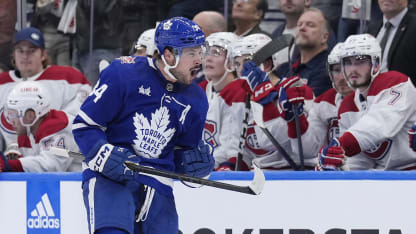Toronto Maple Leafs: Hurricanes Fans, We Know How You Feel