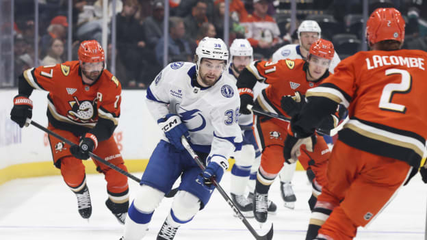 28300892_Tampa_Bay_Lightning_v_Anaheim_Ducks_Andrew_Taylor_(Greenfly)_20250106_030121