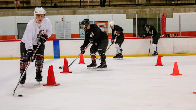 Adult Hockey Skills Development