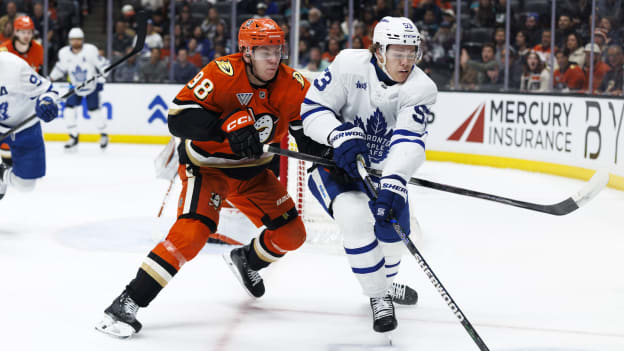 42059919_Toronto_Maple_Leafs_v_Anaheim_Ducks_Deleted_User_20260331_031026