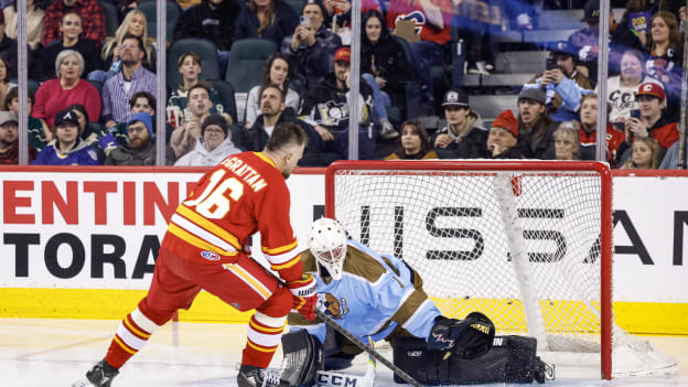 20260122_SHORESEY_FLA1112_JP