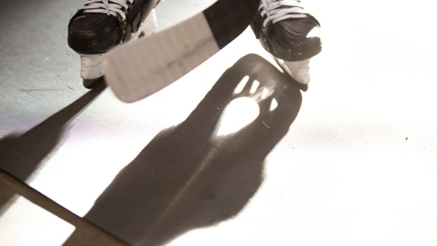 Calder Cup Playoffs Conference Finals Game Four: Ads vs. Firebirds