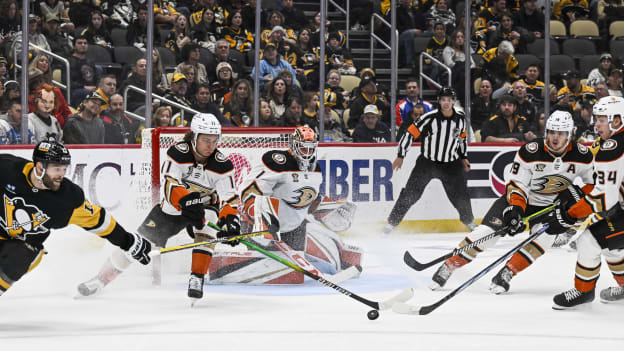 18338091_NHL__OCT_30_Ducks_at_Penguins_Andrew_Taylor_(Greenfly)_20231031_011115