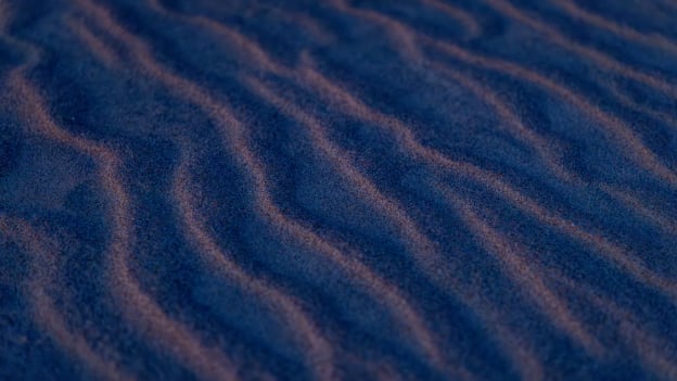 20260213_DownTheShore-003