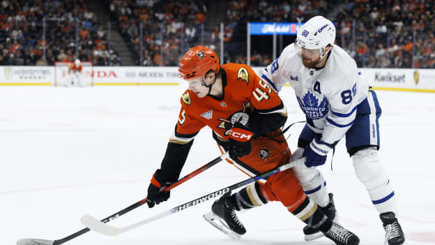 42063875_Toronto_Maple_Leafs_v_Anaheim_Ducks_Deleted_User_20260331_040640