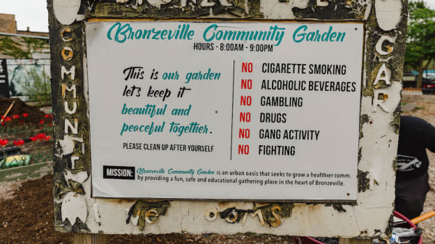 Bronzeville Community Garden Cleanup