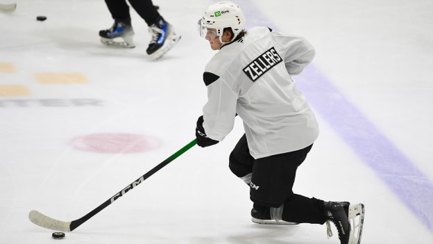 From the Beginning, Zellers Had Eyes Set on Hockey