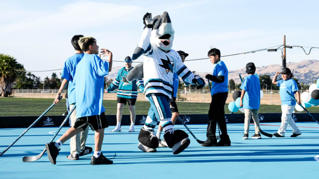 Tealtop Hockey Courts