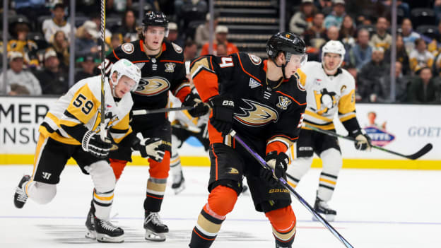 18516693_Pittsburgh_Penguins_v_Anaheim_Ducks_Andrew_Taylor_(Greenfly)_20231108_050712