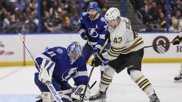 18767219_Boston_Bruins_v_Tampa_Bay_Lightning_Andrew_Taylor_(Greenfly)_20231121_024908