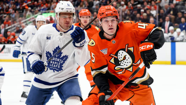 42059496_Toronto_Maple_Leafs_v_Anaheim_Ducks_Deleted_User_20260331_030410