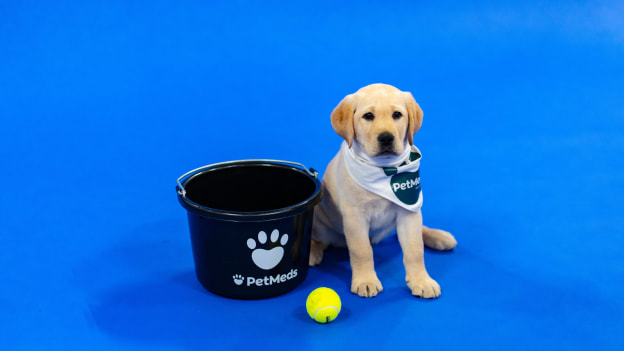 20251015_PuppyCalander_BTS_SJ-04 4