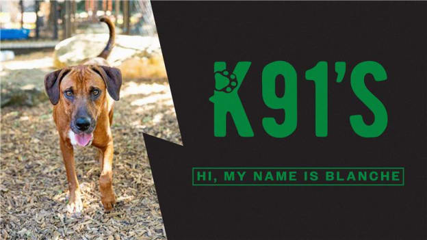 Blanche's adoption fees are covered