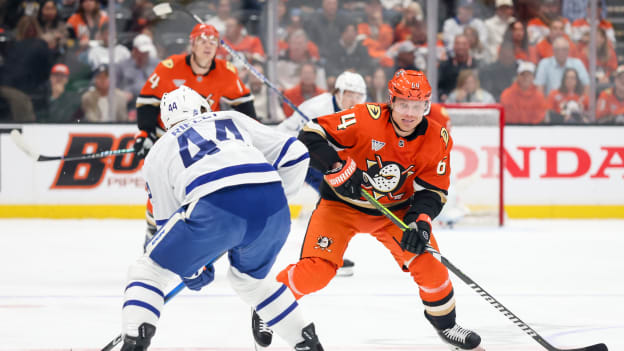 42059504_Toronto_Maple_Leafs_v_Anaheim_Ducks_Deleted_User_20260331_030420